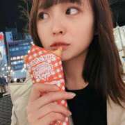 ヒメ日記 2026/04/01 10:51 投稿 ぬい ニューグランド