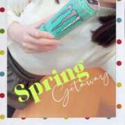 ヒメ日記 2026/04/03 13:23 投稿 ぬい ニューグランド