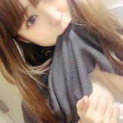 ヒメ日記 2026/04/08 13:17 投稿 ぬい ニューグランド