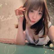 ヒメ日記 2026/04/08 23:53 投稿 ぬい ニューグランド