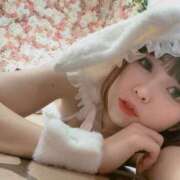 ヒメ日記 2026/04/13 10:24 投稿 ぬい ニューグランド