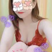 ヒメ日記 2024/12/19 16:51 投稿 なつ なでしこ(十三)