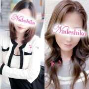 ヒメ日記 2024/12/20 13:20 投稿 なつ なでしこ(十三)