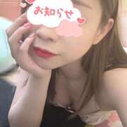 ヒメ日記 2025/03/28 09:30 投稿 なつ なでしこ(十三)