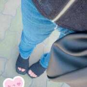 ヒメ日記 2025/07/07 11:32 投稿 なつ なでしこ(十三)