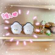 ヒメ日記 2025/08/27 14:01 投稿 なつ なでしこ(十三)