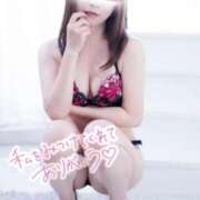 ヒメ日記 2025/09/01 10:43 投稿 なつ なでしこ(十三)