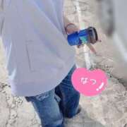 ヒメ日記 2025/10/06 11:45 投稿 なつ なでしこ(十三)