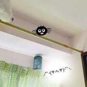 ヒメ日記 2025/10/14 09:15 投稿 なつ なでしこ(十三)