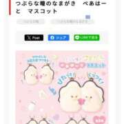 ヒメ日記 2025/11/08 15:30 投稿 なつ なでしこ(十三)