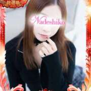 ヒメ日記 2025/11/18 08:30 投稿 なつ なでしこ(十三)