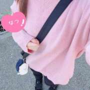 ヒメ日記 2025/11/21 13:04 投稿 なつ なでしこ(十三)