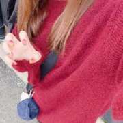 ヒメ日記 2025/12/01 12:54 投稿 なつ なでしこ(十三)