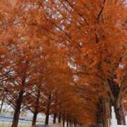 ヒメ日記 2025/12/03 15:15 投稿 なつ なでしこ(十三)