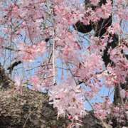 ヒメ日記 2026/03/28 15:15 投稿 なつ なでしこ(十三)