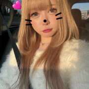 ヒメ日記 2025/12/31 19:05 投稿 きらら Hanitora