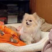 ヒメ日記 2025/01/02 22:22 投稿 えなこ 人妻㊙︎倶楽部