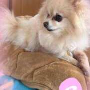 ヒメ日記 2025/01/04 20:12 投稿 えなこ 人妻㊙︎倶楽部