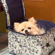 ヒメ日記 2025/01/07 21:22 投稿 えなこ 人妻㊙︎倶楽部