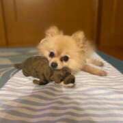 ヒメ日記 2025/01/07 23:02 投稿 えなこ 人妻㊙︎倶楽部