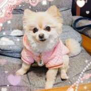 ヒメ日記 2025/02/16 23:12 投稿 えなこ 人妻㊙︎倶楽部