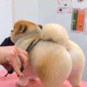 ヒメ日記 2025/02/27 22:02 投稿 えなこ 人妻㊙︎倶楽部