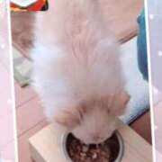 ヒメ日記 2025/03/29 15:02 投稿 えなこ 人妻㊙︎倶楽部