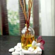 ヒメ日記 2025/04/24 17:02 投稿 えなこ 人妻㊙︎倶楽部