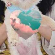 ヒメ日記 2025/05/21 20:23 投稿 えなこ 人妻㊙︎倶楽部