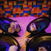 ヒメ日記 2025/06/12 15:02 投稿 えなこ 人妻㊙︎倶楽部