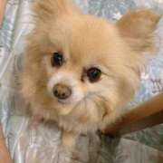 ヒメ日記 2025/06/26 12:03 投稿 えなこ 人妻㊙︎倶楽部