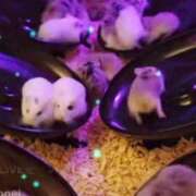 ヒメ日記 2025/08/31 15:03 投稿 えなこ 人妻㊙︎倶楽部