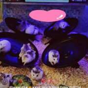 ヒメ日記 2025/09/30 10:20 投稿 えなこ 人妻㊙︎倶楽部