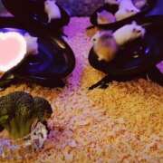 ヒメ日記 2025/10/01 17:20 投稿 えなこ 人妻㊙︎倶楽部