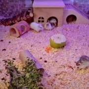 ヒメ日記 2025/10/19 18:21 投稿 えなこ 人妻㊙︎倶楽部