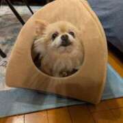 ヒメ日記 2025/11/11 23:20 投稿 えなこ 人妻㊙︎倶楽部