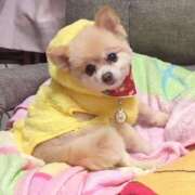 えなこ 愛犬LOVE 人妻㊙︎倶楽部