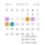 ヒメ日記 2025/01/02 21:45 投稿 やよい 桃李（とうり）