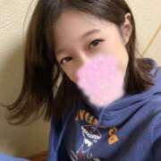 ヒメ日記 2025/02/12 07:14 投稿 やよい 桃李（とうり）