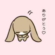 ヒメ日記 2025/04/27 10:12 投稿 本条なみ AJ DOLLS(エージェイドールズ)