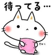 ヒメ日記 2026/06/09 11:59 投稿 カリナ ファーストレディー