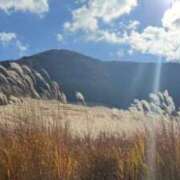 みれい 癒し🍂 横浜しこたまクリニック