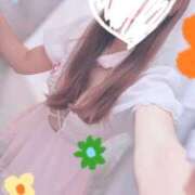 ヒメ日記 2026/02/20 09:05 投稿 みれい 横浜しこたまクリニック