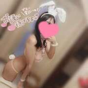 ヒメ日記 2025/09/17 09:00 投稿 Nanaka/ななか プロフィール加古川