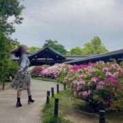 ヒメ日記 2025/04/29 07:57 投稿 佐久間　すみれ アムアージュ