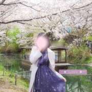 ヒメ日記 2026/04/05 21:42 投稿 佐久間　すみれ アムアージュ