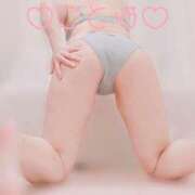 ヒメ日記 2025/02/22 08:27 投稿 ことは 神奈川小田原ちゃんこ