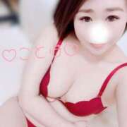 ヒメ日記 2025/04/12 12:33 投稿 ことは 神奈川小田原ちゃんこ