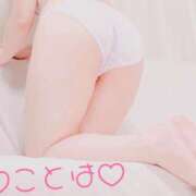 ヒメ日記 2025/04/24 18:17 投稿 ことは 神奈川小田原ちゃんこ