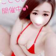 ヒメ日記 2025/06/28 08:37 投稿 ことは 神奈川小田原ちゃんこ